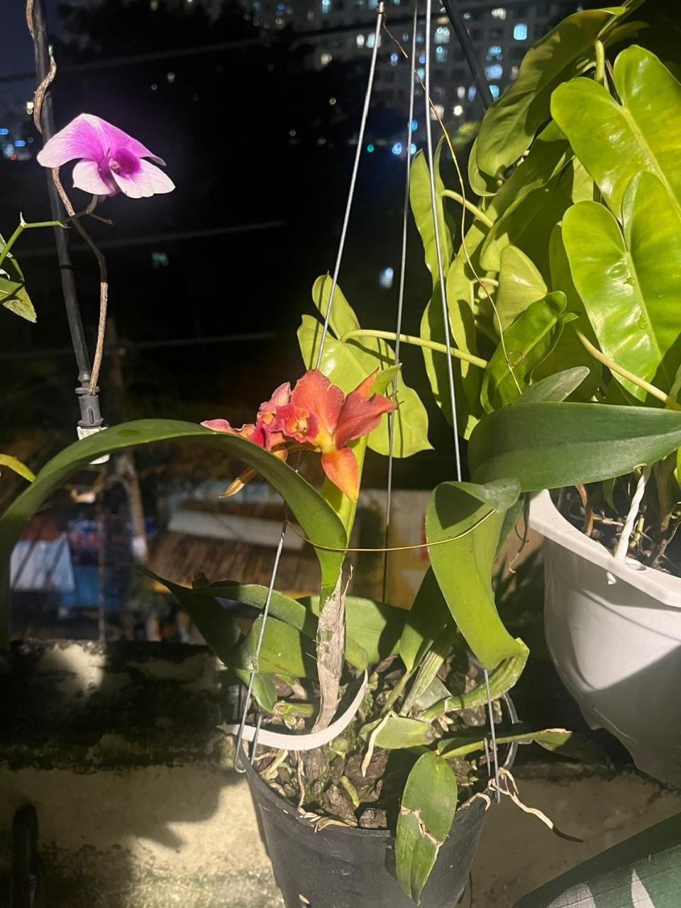 May House Binhthanh Ho Chi Minh Zewnętrze zdjęcie